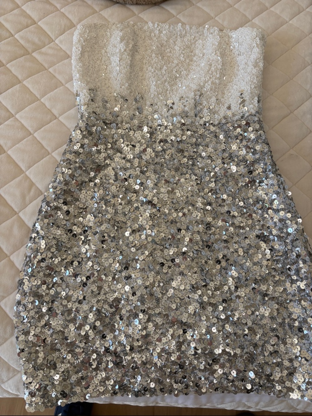 Retrofete Silver White Sequin Strapless Mini Dress